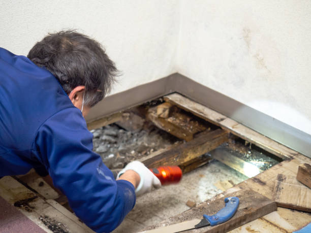 Best Post-Remediation Services in St Helena, CA