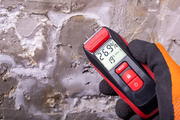 Best Kitchen Mold Remediation in St Helena, CA