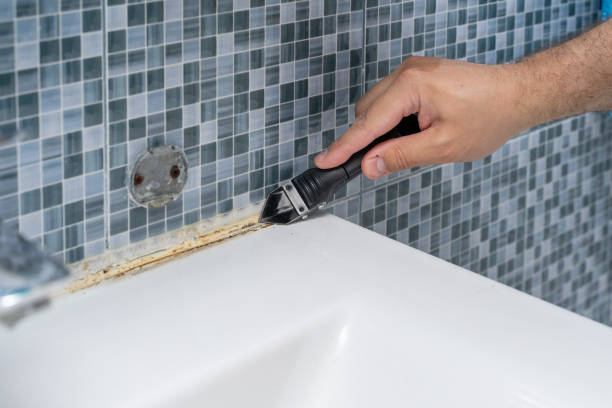 Reliable St Helena, CA Mold Remediation Solutions